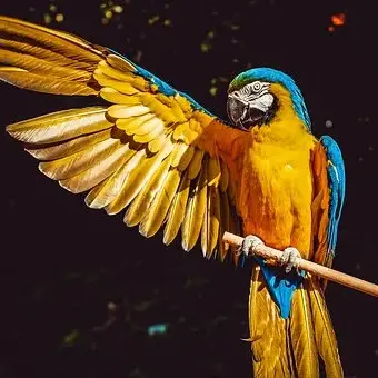 beautiful nature images for whatsapp dp